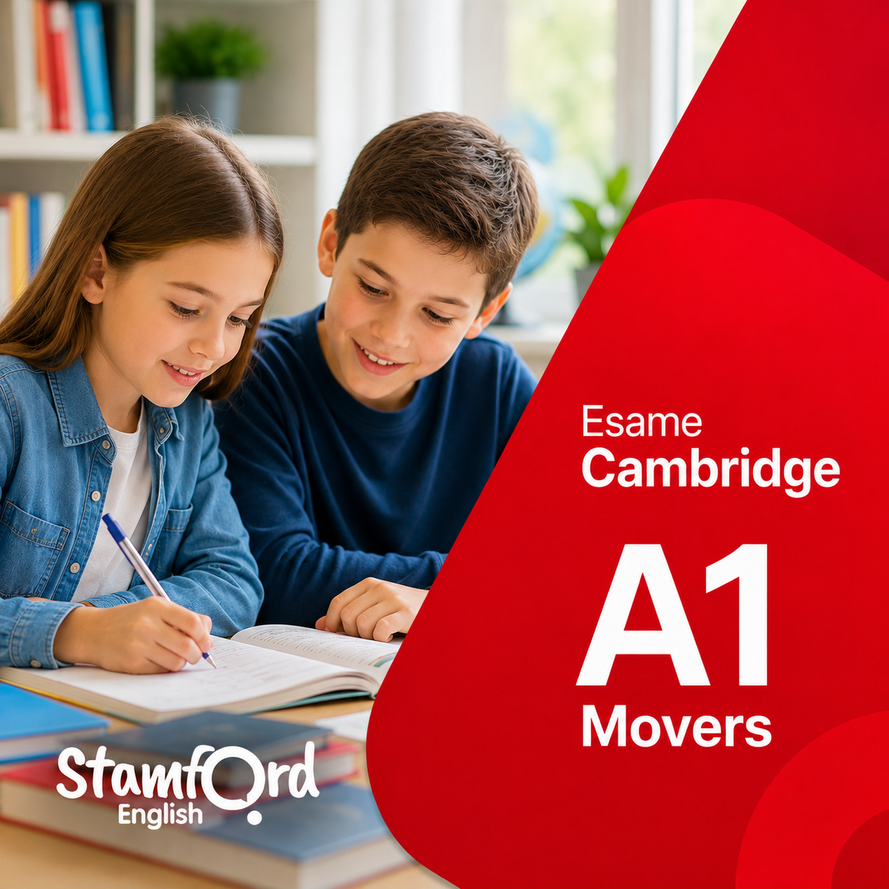 https://stamfordschool.it/stamfordexams3/file/1782579260s.png